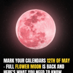 Full Flower Moon Rises Tonight—What To Expect From 2025’s Micromoon In Scorpio Full Flower Moon Rises Tonight—What To Expect From 2025’s Micromoon In Scorpio