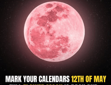 Full Flower Moon Rises Tonight—What To Expect From 2025’s Micromoon In Scorpio Full Flower Moon Rises Tonight—What To Expect From 2025’s Micromoon In Scorpio