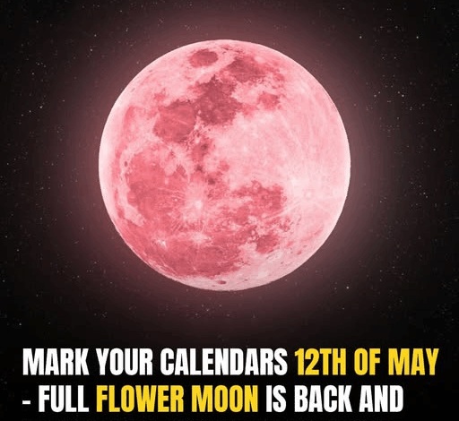 Full Flower Moon Rises Tonight—What To Expect From 2025’s Micromoon In Scorpio