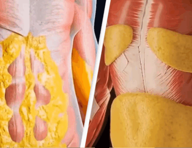 Shocking simulation shows what happens to your body when you fast for 36 hours and the extreme impact Shocking simulation shows what happens to your body when you fast for 36 hours and the extreme impact