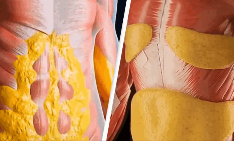 Shocking simulation shows what happens to your body when you fast for 36 hours and the extreme impact