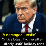 ‘A deranged lunatic’: Critics blast Trump after holiday rant ‘A deranged lunatic’: Critics blast Trump after holiday rant