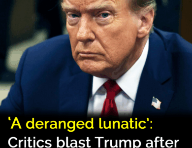 ‘A deranged lunatic’: Critics blast Trump after holiday rant ‘A deranged lunatic’: Critics blast Trump after holiday rant