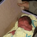 Newborn baby found abandoned…See more Newborn baby found abandoned…See more