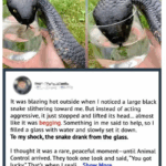 Wild Snake “Begged” Me For Some Water. When Animal Control Realizes Why, They Say, “You Got Lucky!” Wild Snake “Begged” Me For Some Water. When Animal Control Realizes Why, They Say, “You Got Lucky!”