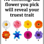 Your Favorite Flower Uncovers Secret Aspects of Your Personality Your Favorite Flower Uncovers Secret Aspects of Your Personality