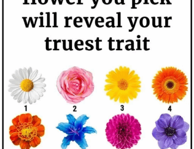 Your Favorite Flower Uncovers Secret Aspects of Your Personality Your Favorite Flower Uncovers Secret Aspects of Your Personality