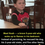 5-year-old courageously carries sister out of burning home, then rushes back to help other family members. 5-year-old courageously carries sister out of burning home, then rushes back to help other family members.