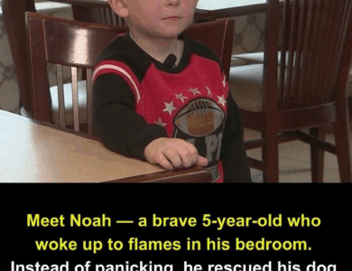 5-year-old courageously carries sister out of burning home, then rushes back to help other family members. 5-year-old courageously carries sister out of burning home, then rushes back to help other family members.