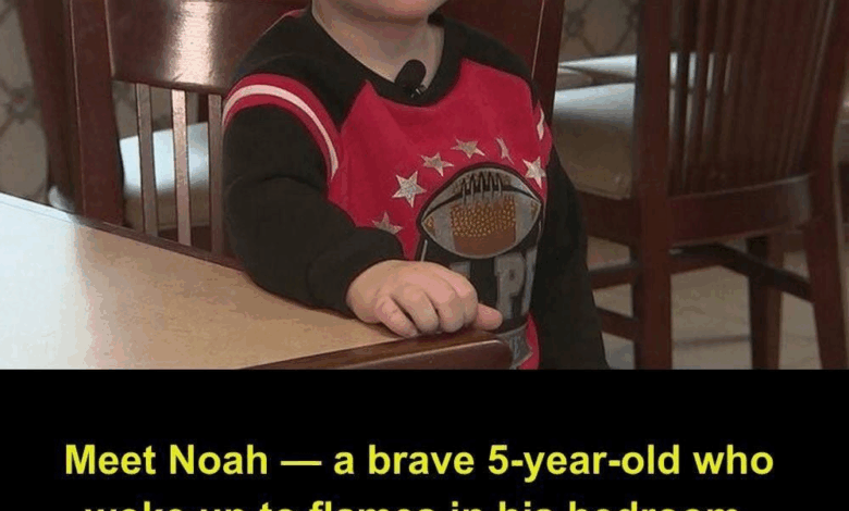 5-year-old courageously carries sister out of burning home, then rushes back to help other family members.