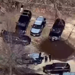 Human remains discovered near Taylor Swift’s home spark more serial killer fears after 12 people found dead in area Human remains discovered near Taylor Swift’s home spark more serial killer fears after 12 people found dead in area