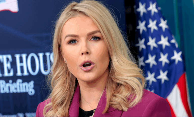 White House issues fierce response to Elon Musk’s attack on Trump amid claims he’s in the Epstein files