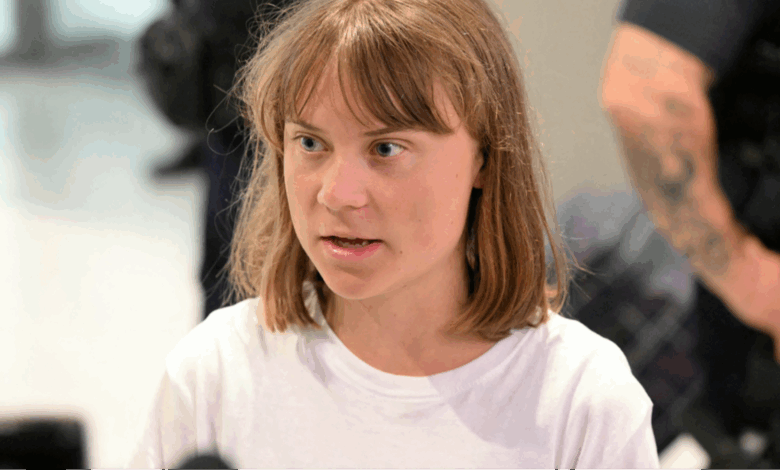 Greta Thunberg responds to Donald Trump after he weighed in on her being ‘kidnapped’ by Israeli forces amid recent deportation