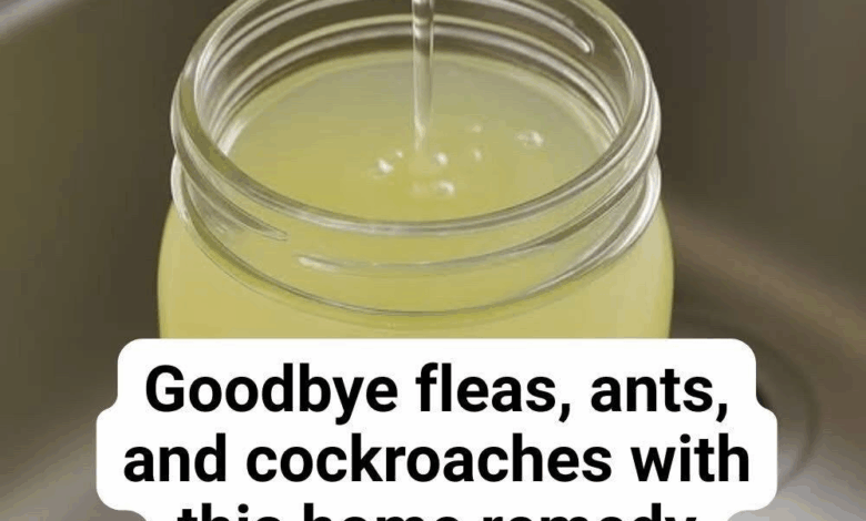 Eliminate fleas, ants, and cockroaches effectively with this home remedy