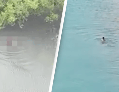 One-year-old boy eaten alive by crocodile in front of father after being snatched from fishing canoe One-year-old boy eaten alive by crocodile in front of father after being snatched from fishing canoe
