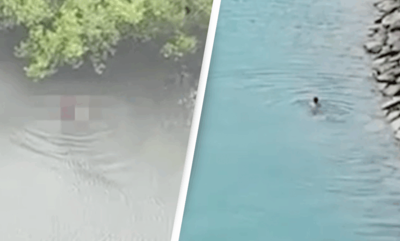 One-year-old boy eaten alive by crocodile in front of father after being snatched from fishing canoe