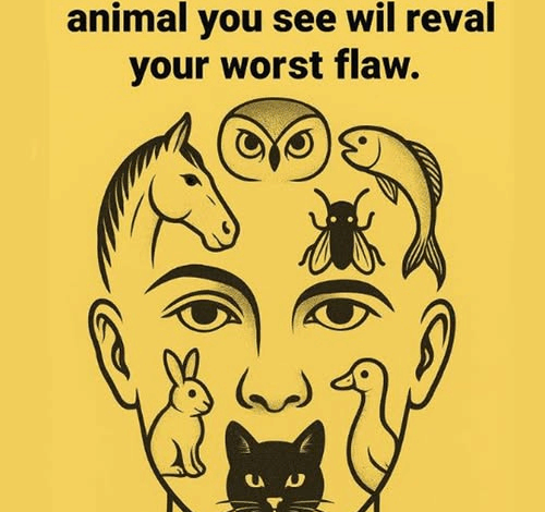 This visual test reveals your ‘worst flaw’