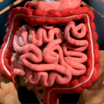 Chilling simulation shows how someone actually dies from cancer and it’s extremely eye opening Chilling simulation shows how someone actually dies from cancer and it’s extremely eye opening