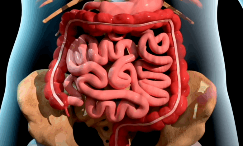 Chilling simulation shows how someone actually dies from cancer and it’s extremely eye opening