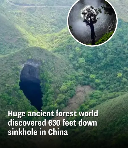 Scientists Discovered A Sinkhole 630 Feet Underground In China Known As “Heavenly Pits” Scientists Discovered A Sinkhole 630 Feet Underground In China Known As “Heavenly Pits”