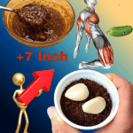 The South African Secret: A Natural Energy Formula That Keeps You Going for Hours The South African Secret: A Natural Energy Formula That Keeps You Going for Hours