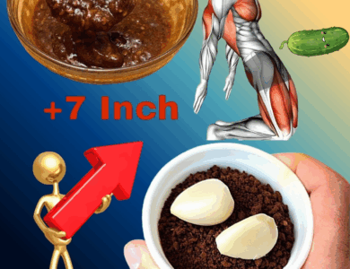 The South African Secret: A Natural Energy Formula That Keeps You Going for Hours The South African Secret: A Natural Energy Formula That Keeps You Going for Hours