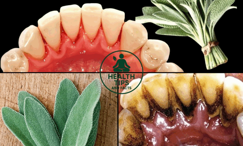 Remove Tartar and Whiten Your Teeth Naturally with Sage Leaves Remove Tartar and Whiten Your Teeth Naturally with Sage Leaves