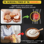 Eggshells: The Hidden Superfood You’ve Been Throwing Away Eggshells: The Hidden Superfood You’ve Been Throwing Away