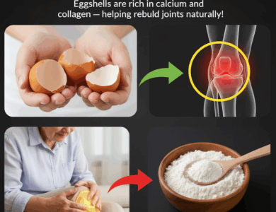 Eggshells: The Hidden Superfood You’ve Been Throwing Away Eggshells: The Hidden Superfood You’ve Been Throwing Away