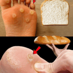 Spread Bread on Your Feet and Forget Spending More at the Market! Spread Bread on Your Feet and Forget Spending More at the Market!