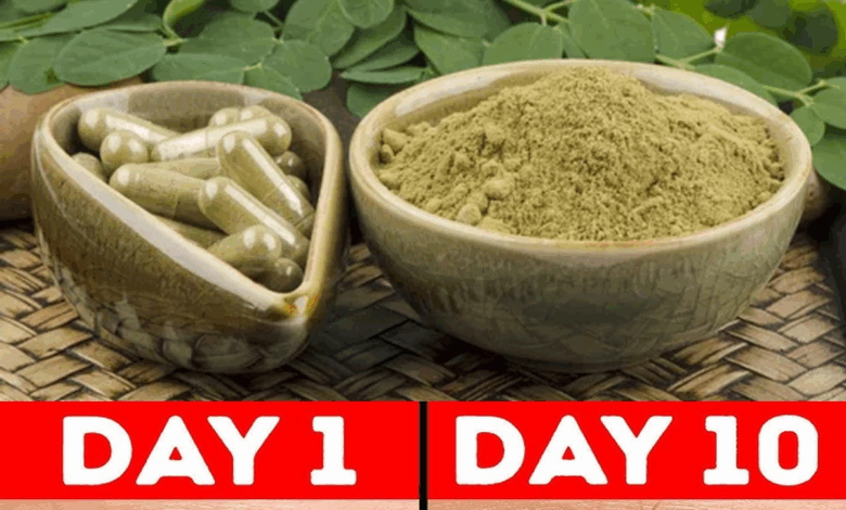 12 Moringa Seed Benefits You Need to Know 12 Moringa Seed Benefits You Need to Know