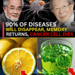 Japanese Longevity Secrets: What the Oldest Doctors in Japan Eat Every Day to Stay Young and Strong Japanese Longevity Secrets: What the Oldest Doctors in Japan Eat Every Day to Stay Young and Strong