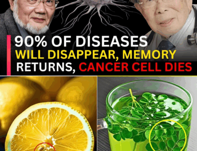 Japanese Longevity Secrets: What the Oldest Doctors in Japan Eat Every Day to Stay Young and Strong Japanese Longevity Secrets: What the Oldest Doctors in Japan Eat Every Day to Stay Young and Strong